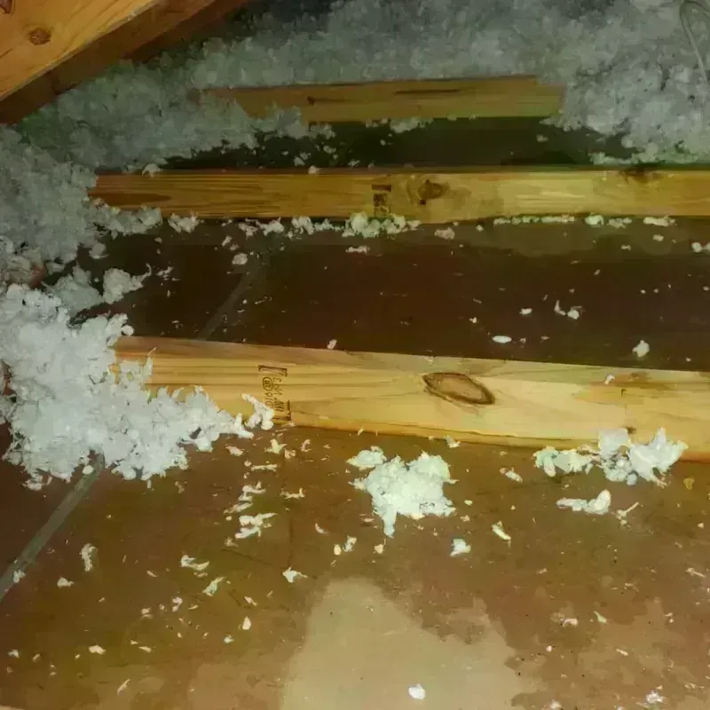 Attic Water Damage in Pawnee, OK