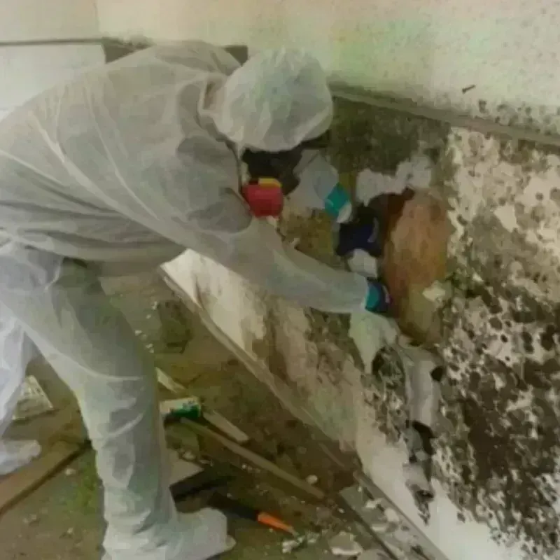 Mold Remediation and Removal in Pawnee, OK