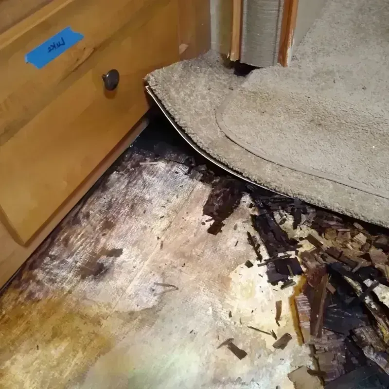 Wood Floor Water Damage in Pawnee, OK